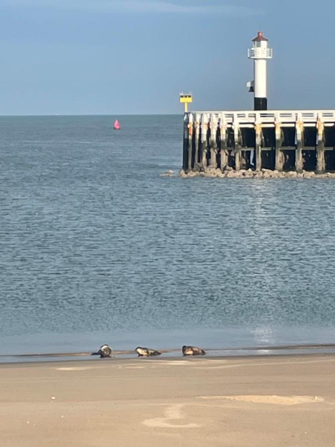 Seaview Penthouse Oostende ภายนอก รูปภาพ